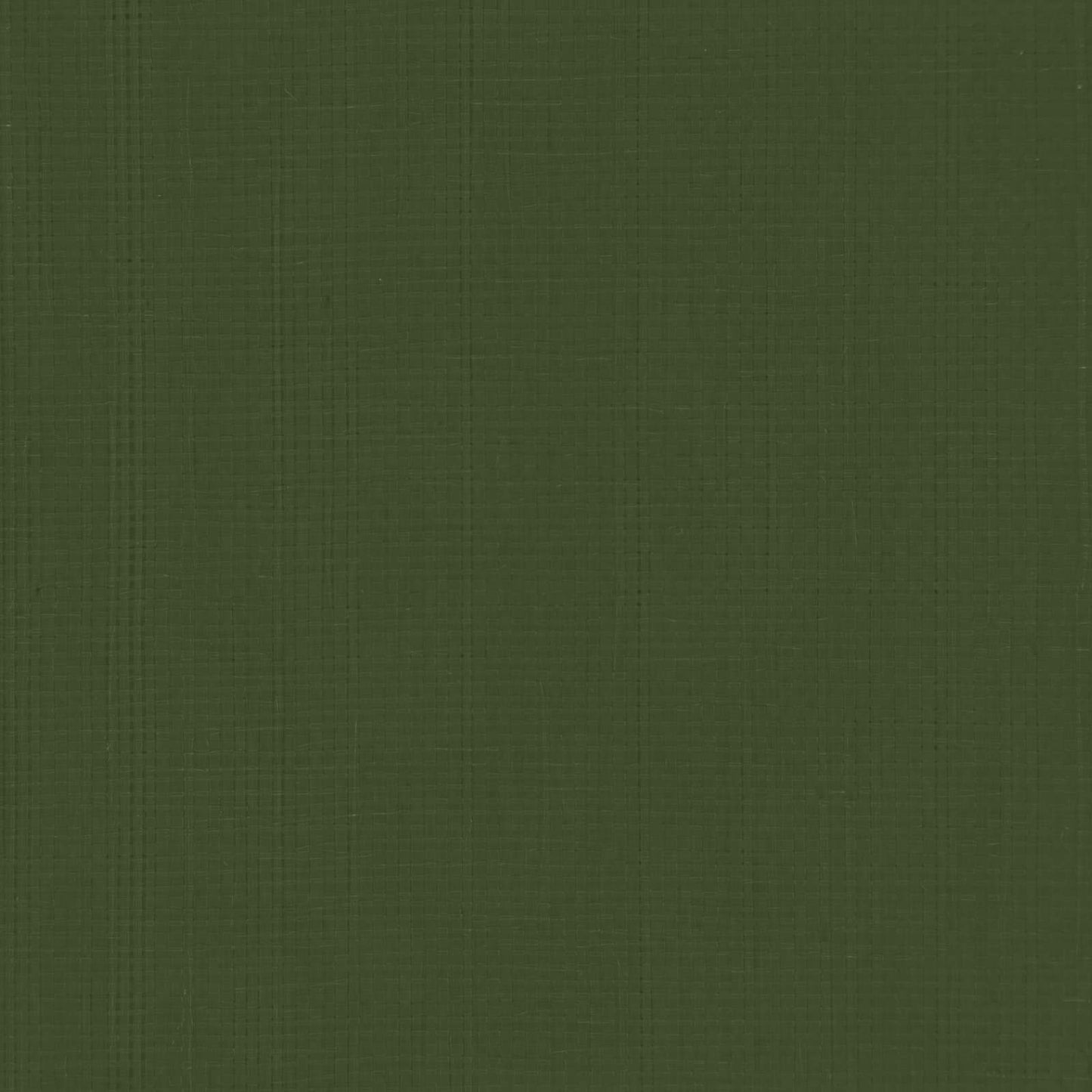 Presenning med øjer Grøn 8 x 12 m 180 gsm PE