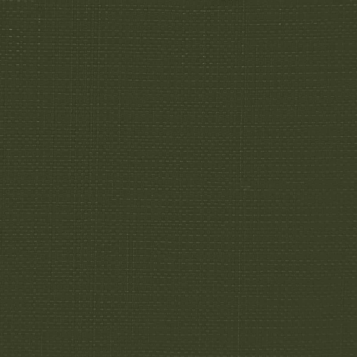 Presenning med øjer Grøn 4 x 4 m 260 gsm PE