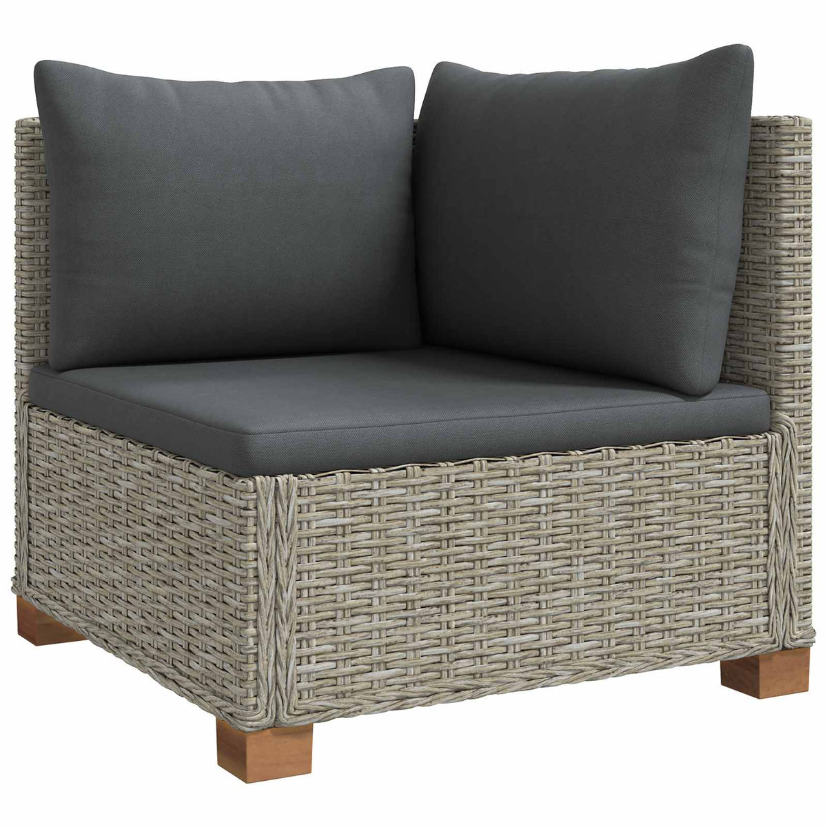 2 stk. Rattan Lounge Sæt med Puder GENDT Naturlig rattan