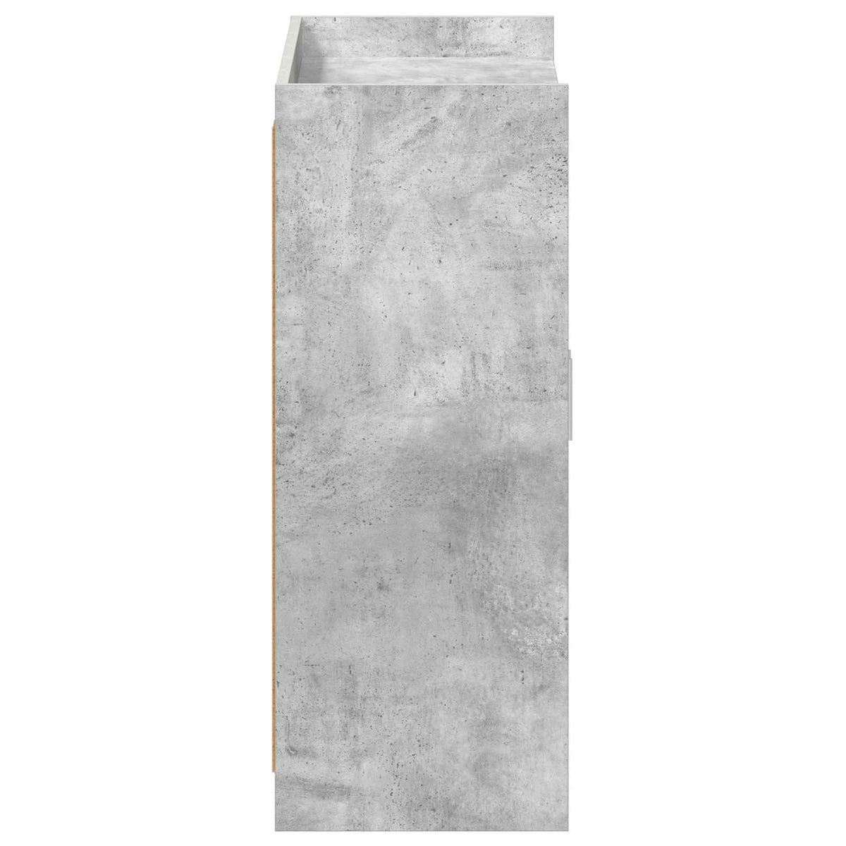 Sko skab med dør Betongrå 73,5 x 36 x 92 cm Konstrueret træ