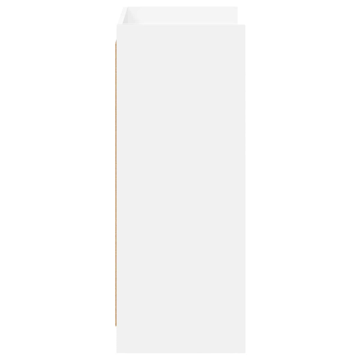 Sko skab med opbevaring Hvid 48 x 36 x 92 cm Konstrueret træ