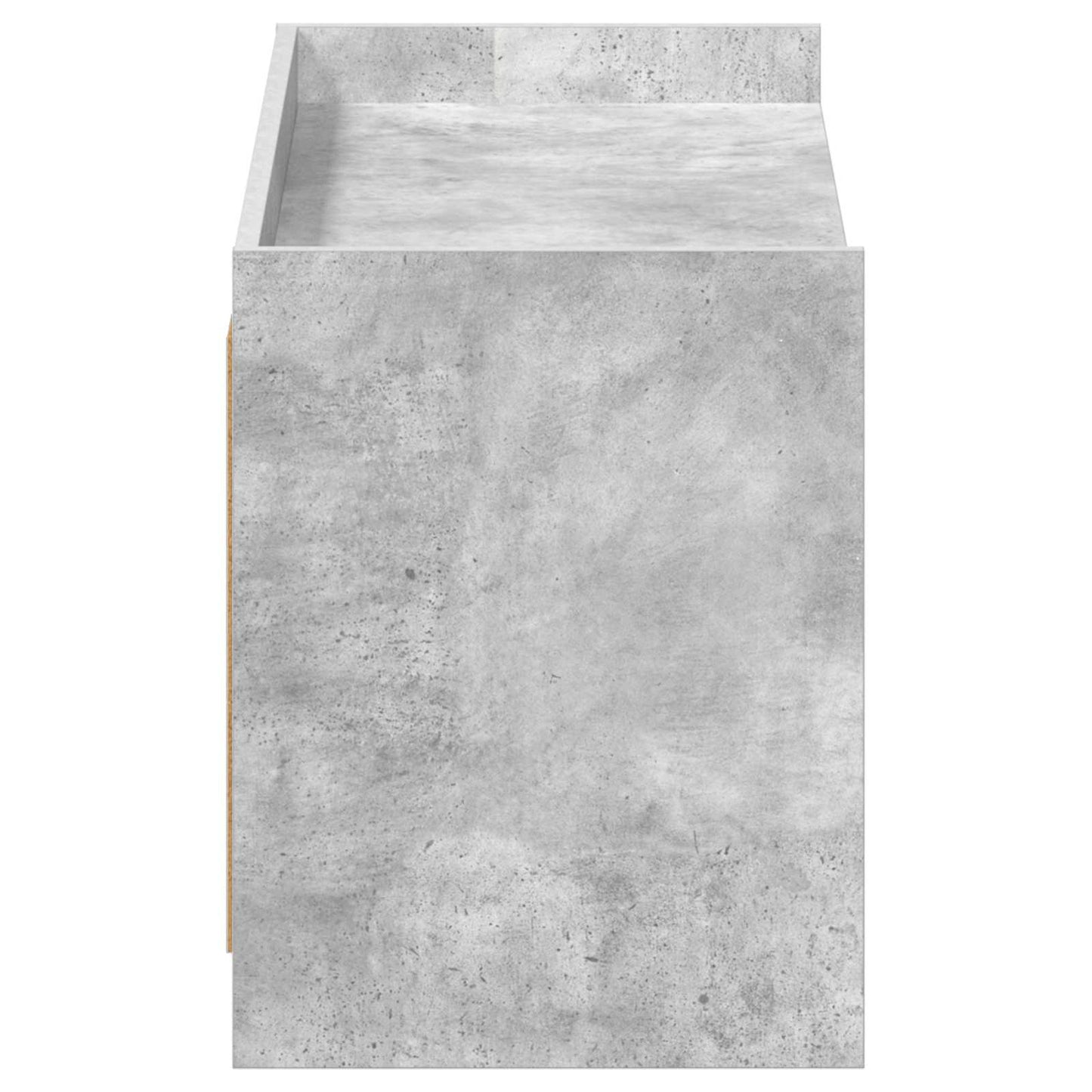 Sko skab med dør Betongrå 100 x 39,5 x 51 cm Konstrueret træ