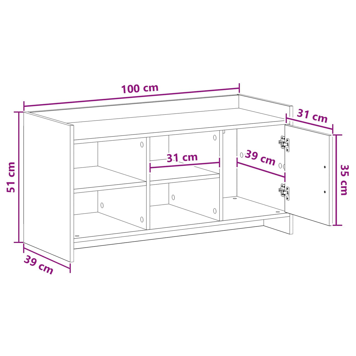 Sko skab med dør Gammelt træ 100 x 39,5 x 51 cm Konstrueret træ