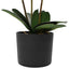 Kunstig orkideplante med potte Hvid 45 x 15 x 65 cm