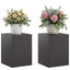 Planteholder 2 pcs Sort 30 x 30 x 40 cm Stål