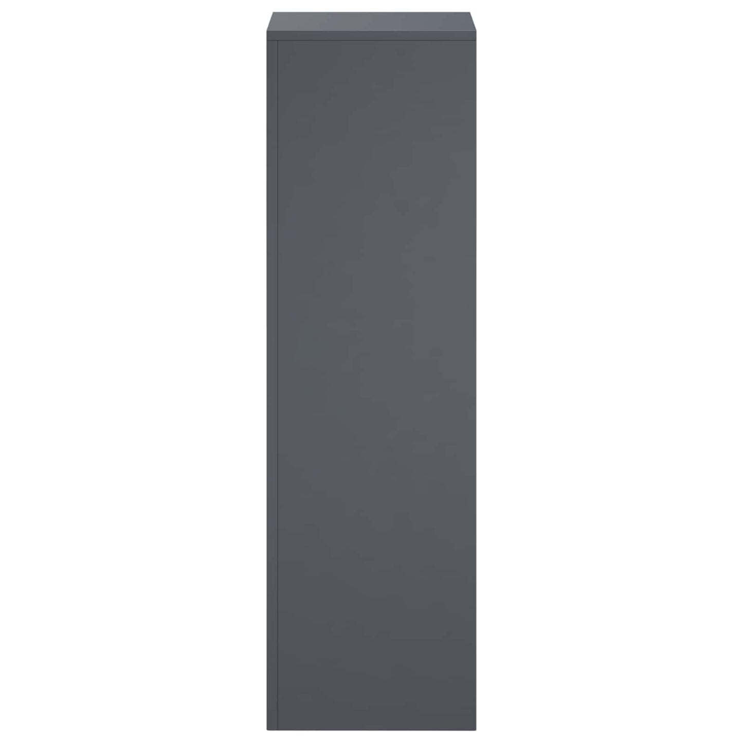 Planteholder 2 pcs Antracit 30 x 30 x 100 cm Galvaniseret stål