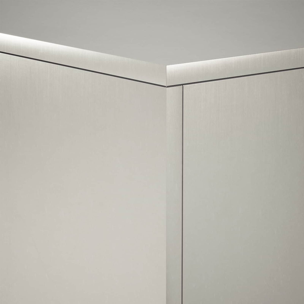 Planteholder 2 pcs Sølv 30 x 30 x 100 cm Stål