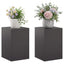 Planteholder 2 pcs Sort 40 x 40 x 60 cm Stål