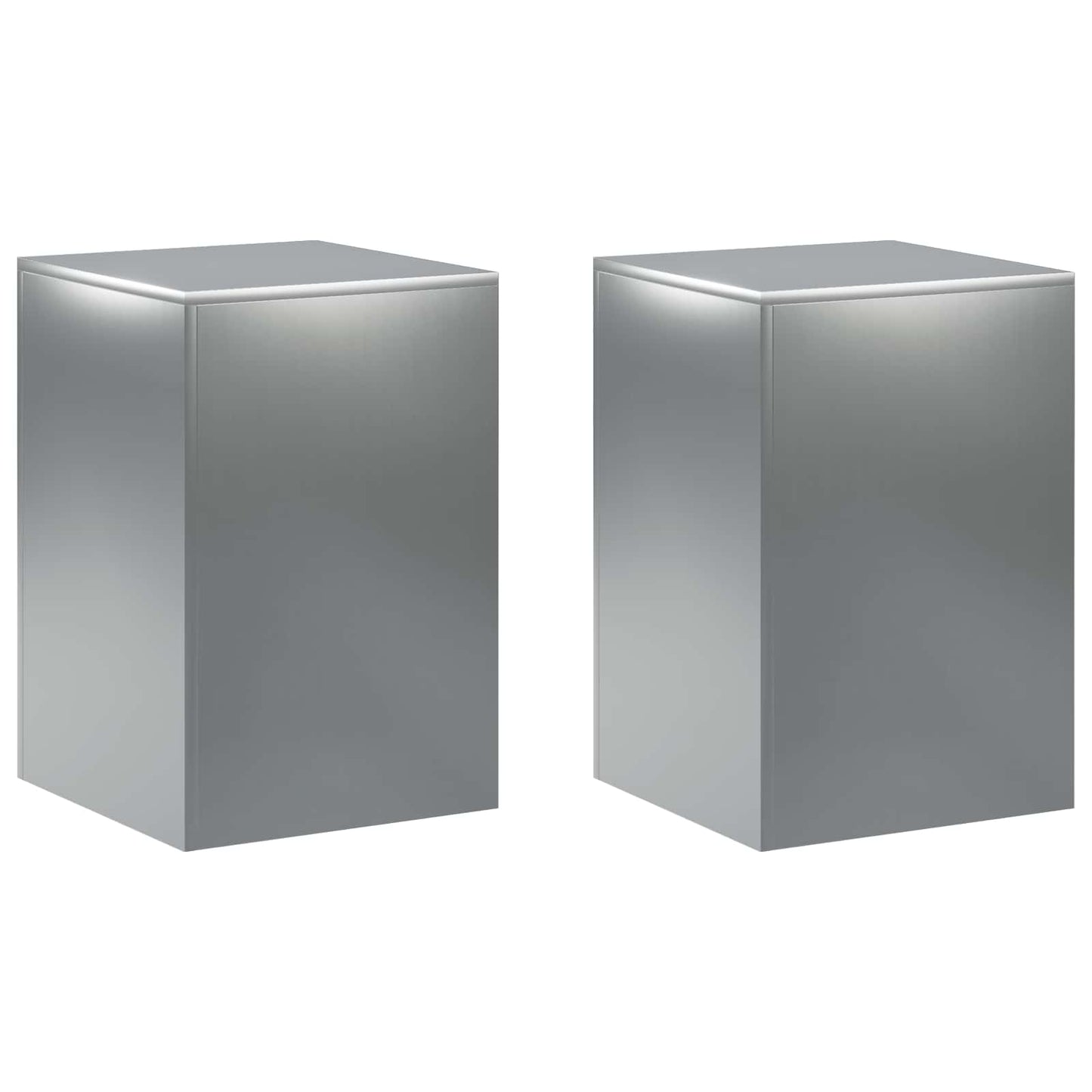 Planteholder 2 pcs Sølv 40 x 40 x 60 cm Rustfrit stål