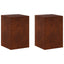 Planteholder 2 pcs Rusten 40 x 40 x 60 cm Cortenstål