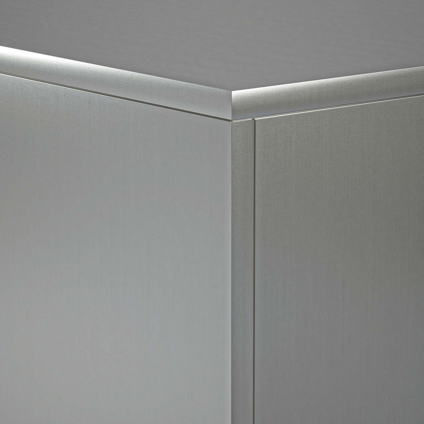 Planteholder 2 pcs Sølv 40 x 40 x 80 cm Rustfrit stål
