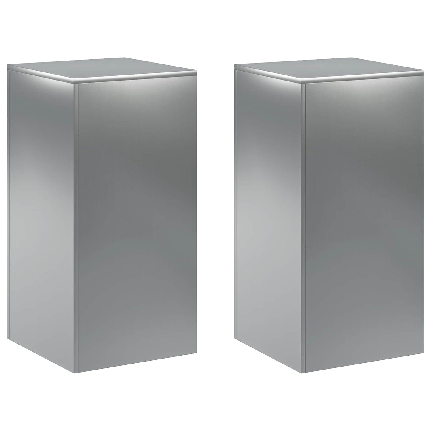 Planteholder 2 pcs Sølv 40 x 40 x 80 cm Rustfrit stål