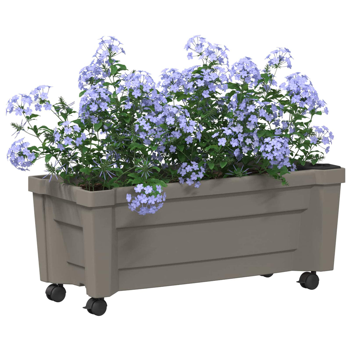Calypso plante med hjul PP Grå