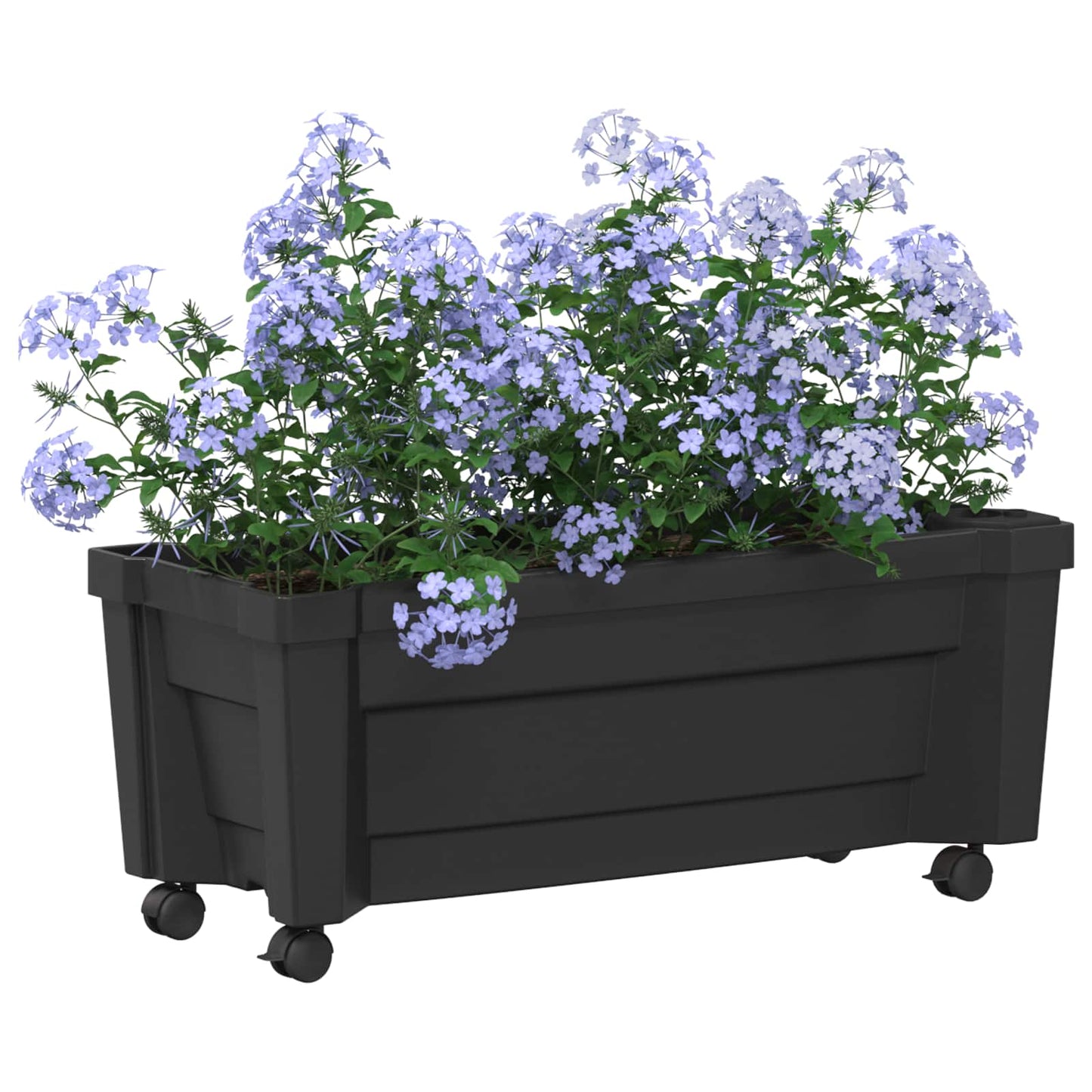 Calypso plante med hjul PP Antracit