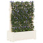 Stor krukke med trellis Hvid 99,5 x 43 x 133,5 PP