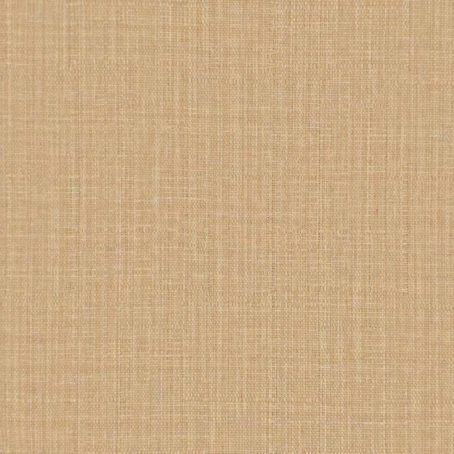 Spisestuestol 2 stk. Massivt Eg Træ Beige 45 x 59,5 x 100 cm