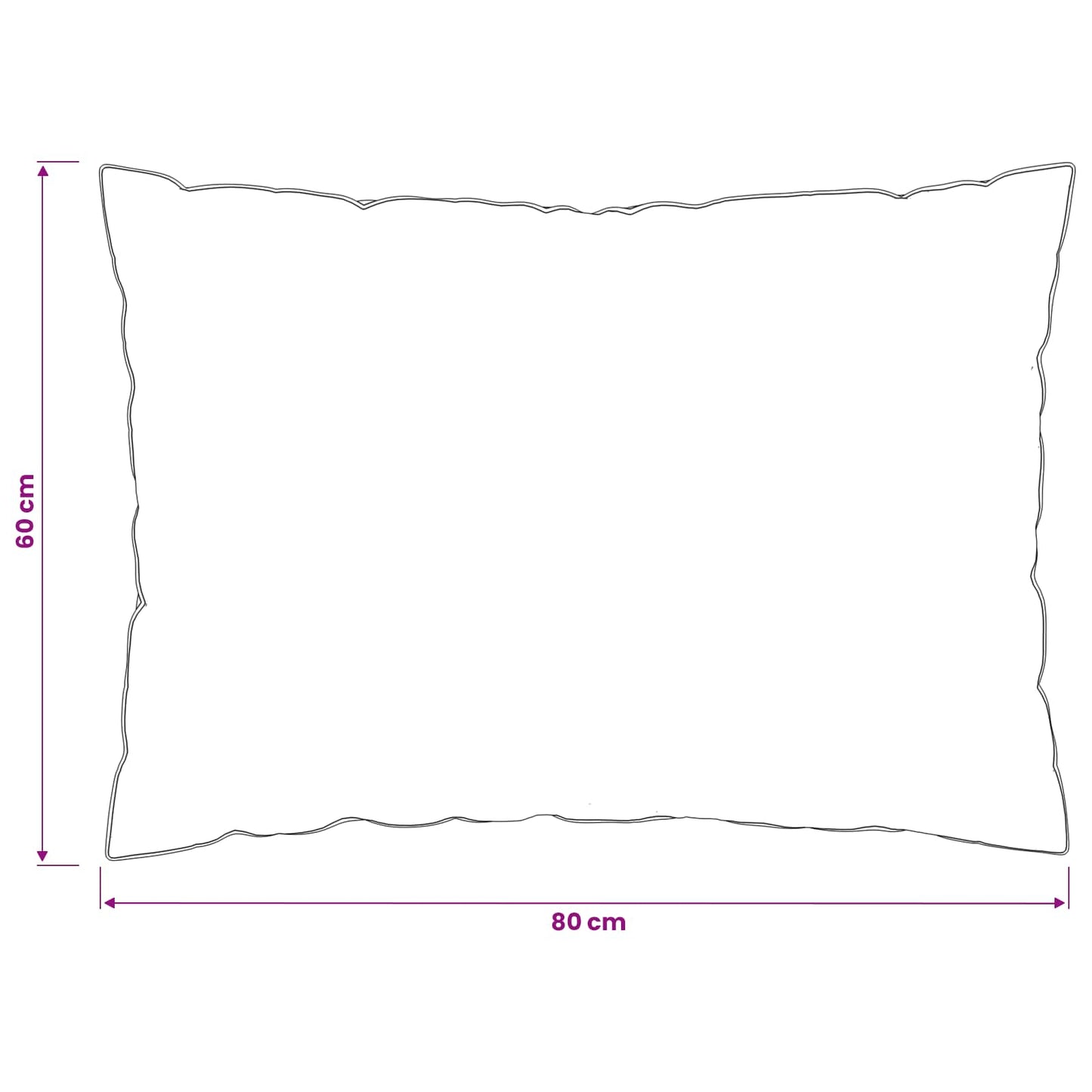Hovedpude FULDA 2 stk. 60 x 80 cm 100% gåsefed og fjer Hvid