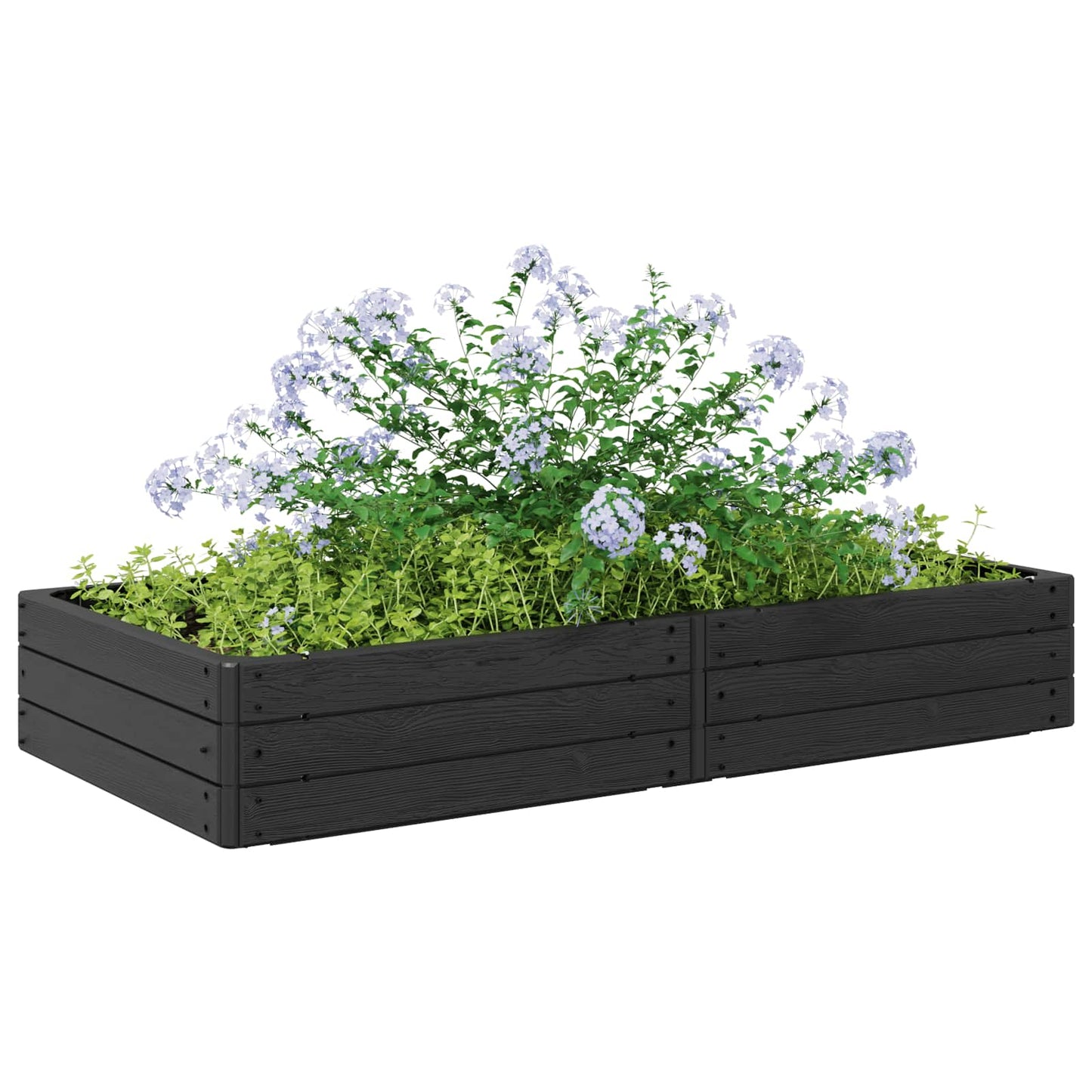 Hævet bed Sort 151 x 75,5 x 25 cm PP
