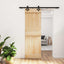 Skydedør 70 x 210 cm Massivt Fyrretræ (Ubehandlet)