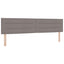 Box Spring Seng med Madras og LED Gråbrun 200 x 200 cm Stof