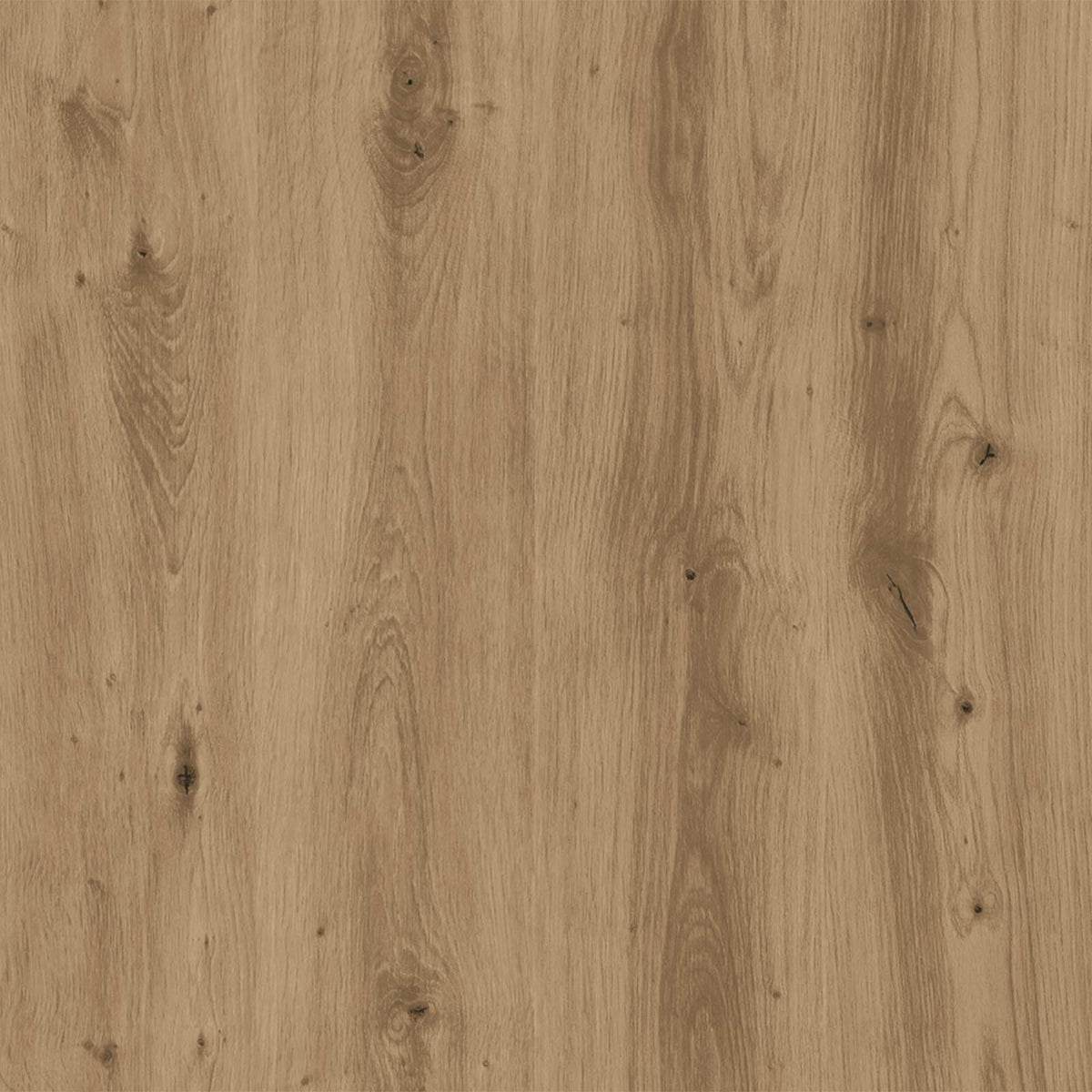 Sofabord Artisan Egetræ 90 x 60 x 35 cm Konstrueret træ